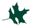 The Portland Foundation